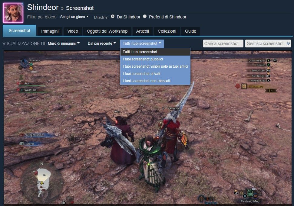 Steam-profilo-screenshot